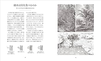 森の木の100不思議 森の木の100不思議 | 日本林業技術協会 |本 | 通販 | Amazon